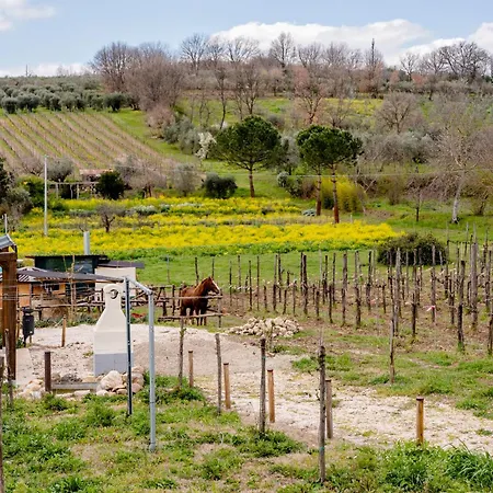 Farm stay Il Poggio Degli Antichi Sapori Paternopoli